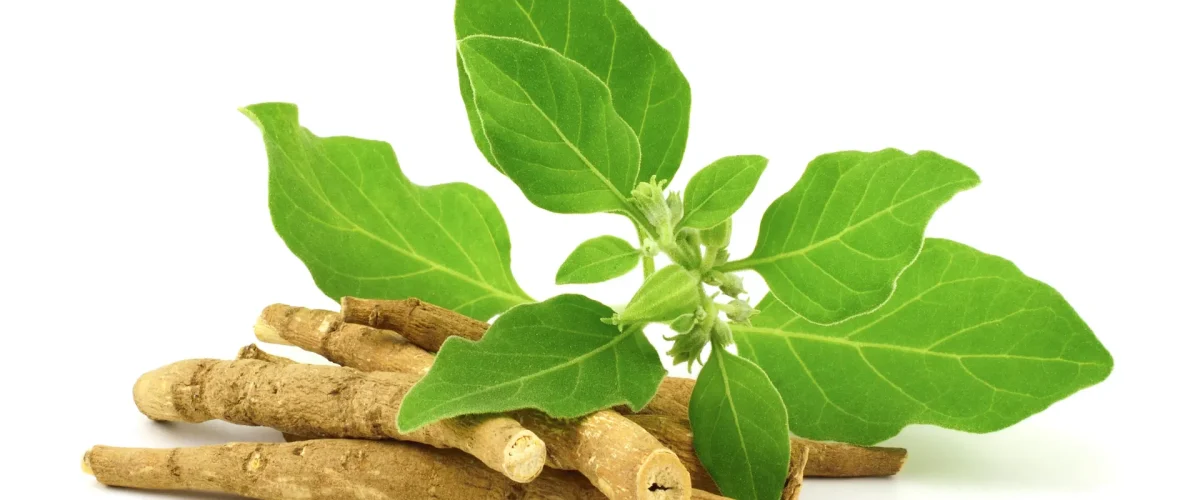 Aswaganda